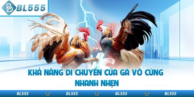 Khả năng di chuyển của gà vô cùng nhanh nhẹn