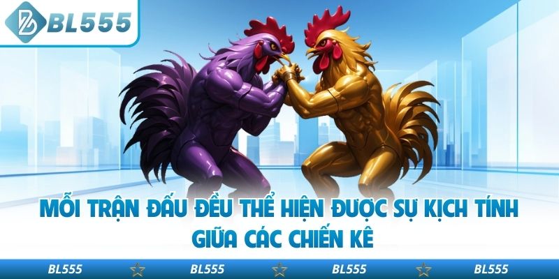 Mỗi trận đấu đều thể hiện được sự kịch tính giữa các chiến kê