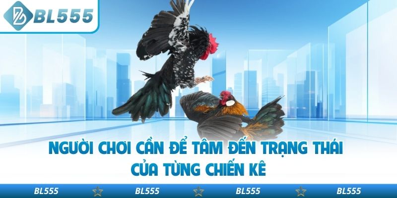 Người chơi cần để tâm đến trạng thái của từng chiến kê