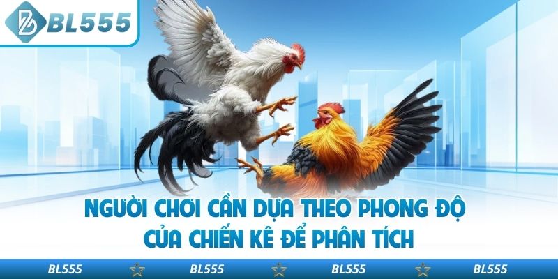 Người chơi cần dựa theo phong độ của chiến kê để phân tích
