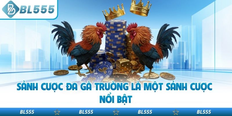 Sảnh cược đa gà trường là một sảnh cược nổi bật